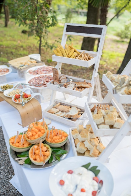 Festive set table with different dishes in a green forest