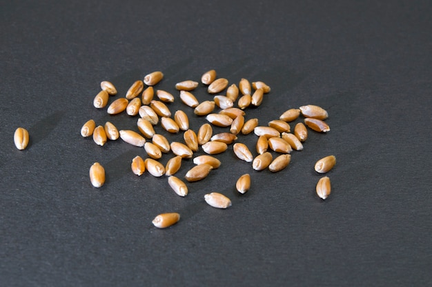 A few grains of wheat on a black surface