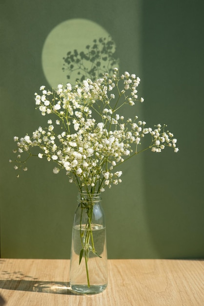 Few twigs with small white flowers of gypsophila babysbreath on green background