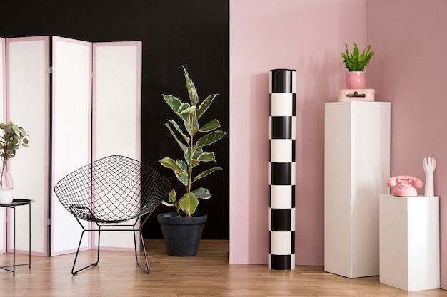 Photo ficus in pink studio interior