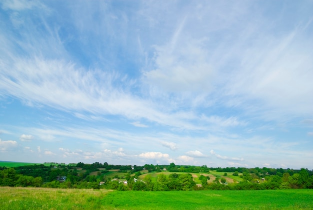 Field on a background of the blue sky