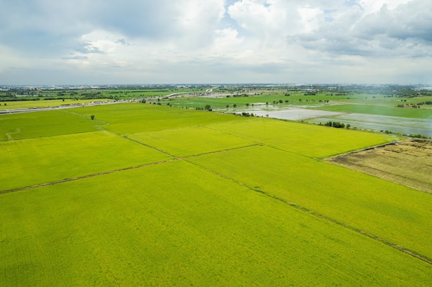 Field background top view landscape nature