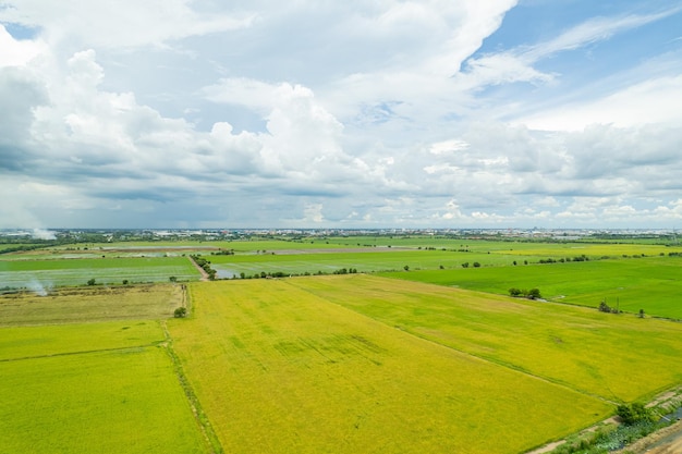 Field background top view landscape nature