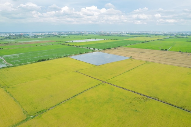 Field background top view landscape nature