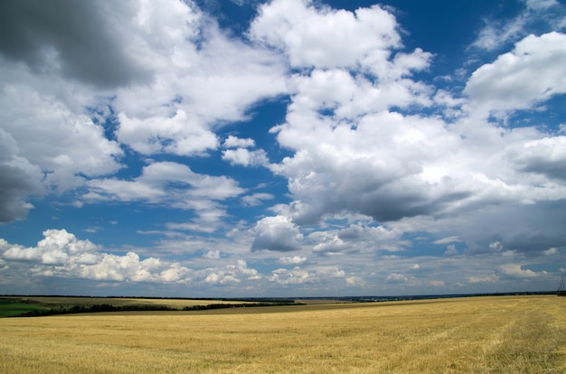 Field and the beautiful blue sky with clouds