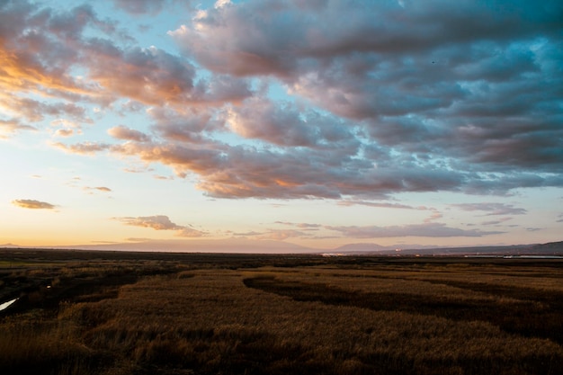 Field and colorful clouds at sunset