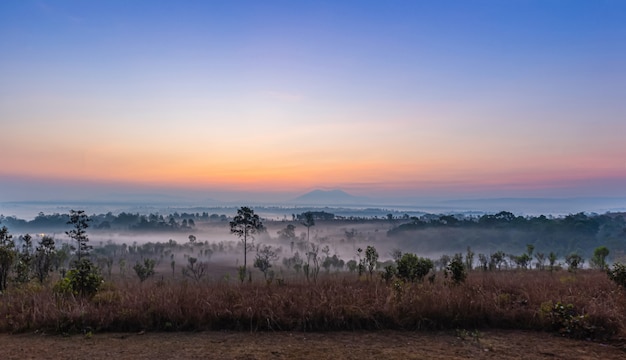 Field covered by fog at sunrise