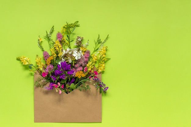 Field flowers in craft envelope on green background