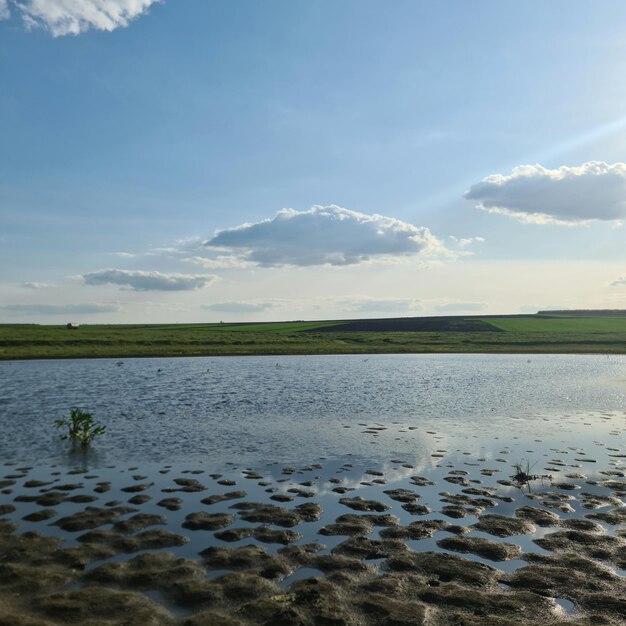 A field of grass and a blue sky with clouds