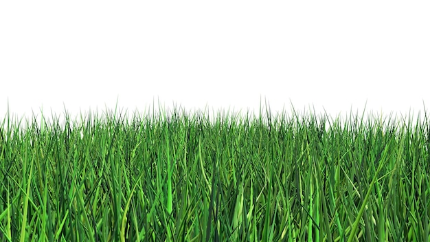 a field of grass with a white background with a white background