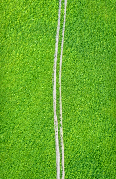 Field of green grass with white unpaved road with tire tracks Vertical view from above view from above