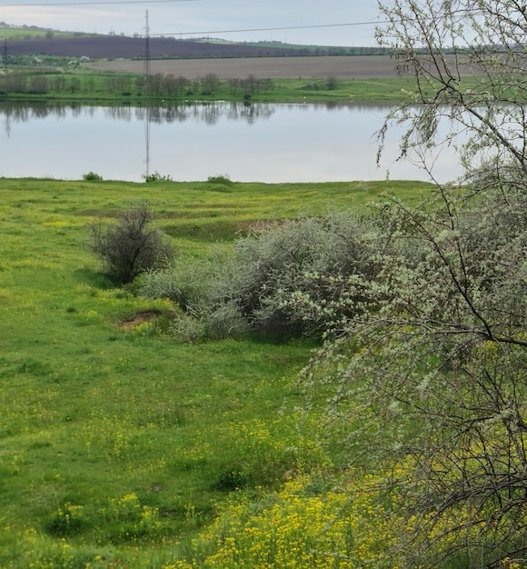 A field of green grass and yellow flowers with a river in the background.