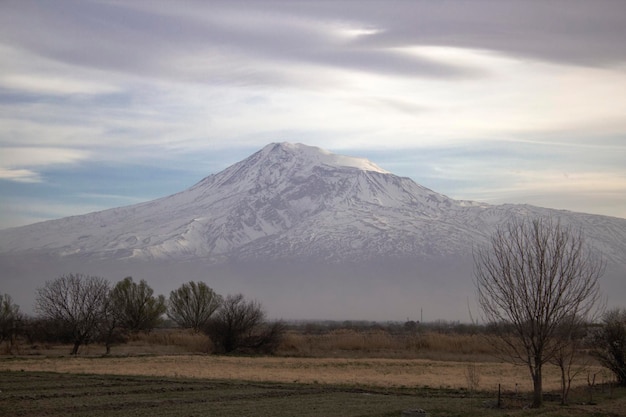 Field and Mount Ararat in the evening