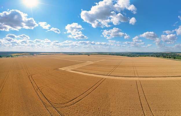 Field of ripe wheat Drone view Abstract natural background