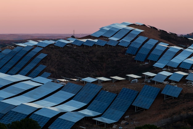 Field of solar panels