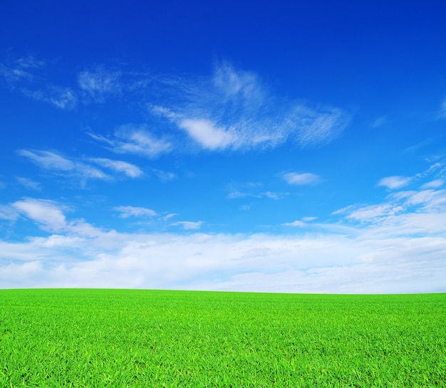 Field valley and blue sky