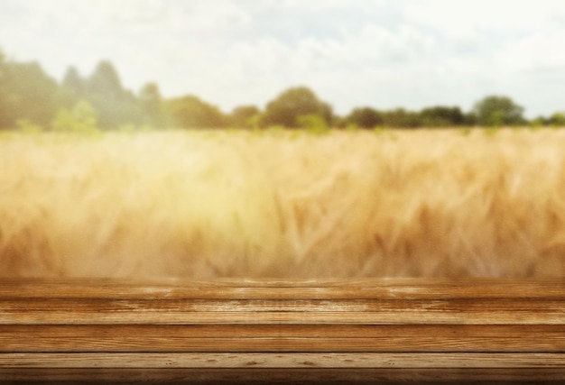 field of wheat, wood table grainy texture blur background