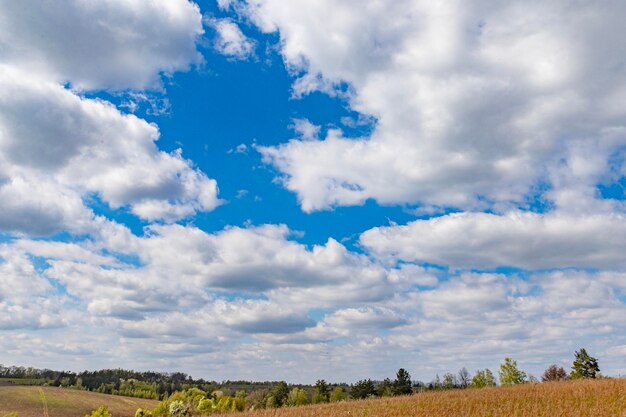 Photo a field with a blue sky and clouds