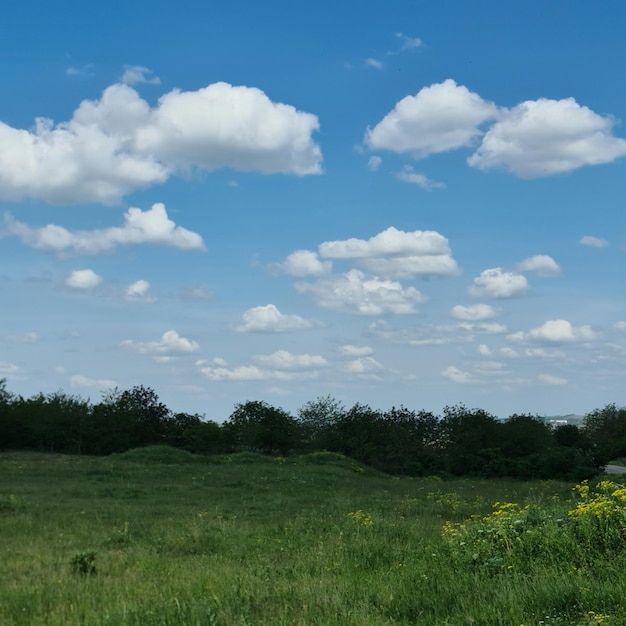 A field with a blue sky and clouds