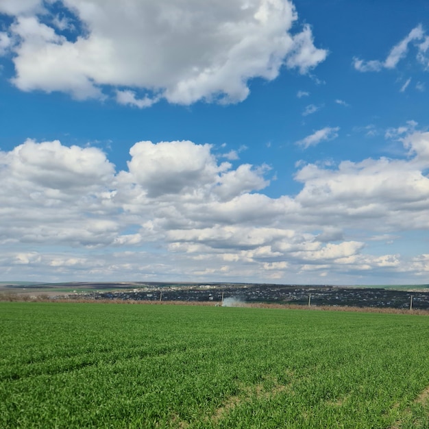 A field with a blue sky and clouds