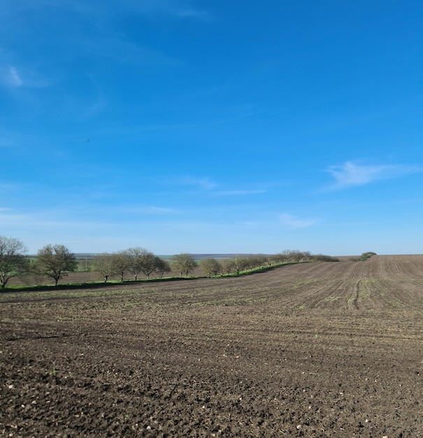 A field with a blue sky and a field with a hill in the background.