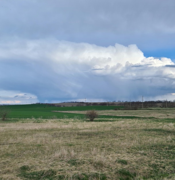 A field with a blue sky and a field with a large cloud