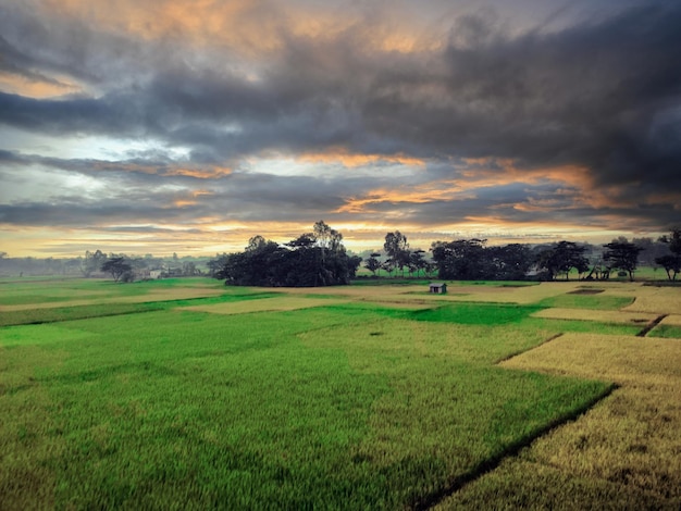 A field with a cloudy sky and a farmer in the foreground