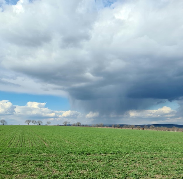 A field with a cloudy sky and a rain cloud