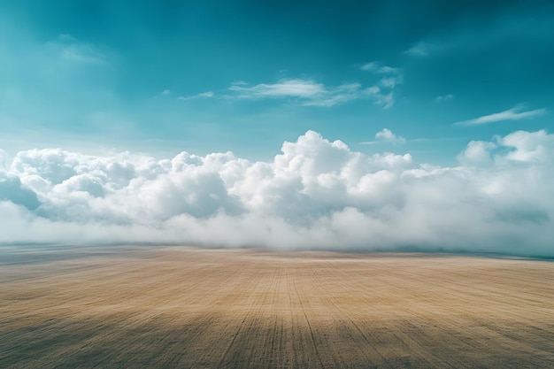 a field with a field that has a field that has a field of wheat in it