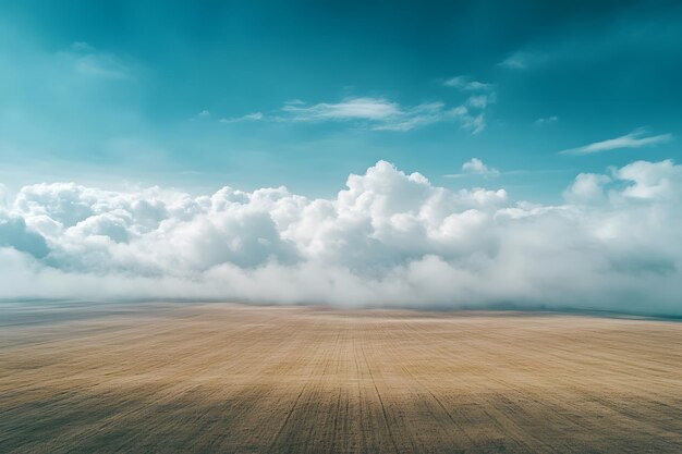 Photo a field with a field that has a field that has a field of wheat in it