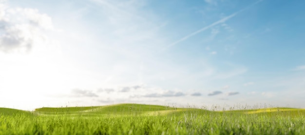 Field with green grass Staycations concept Staycation during coronavirus COVID19