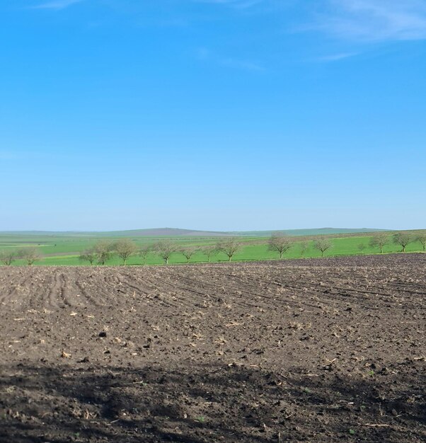 A field with a hill in the background and a blue sky with a few clouds.