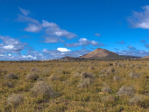 Photo a field with a mountain in the background