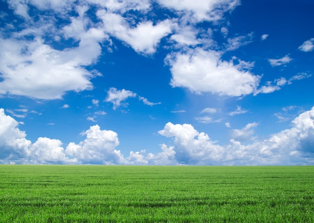 Field with sky and clouds