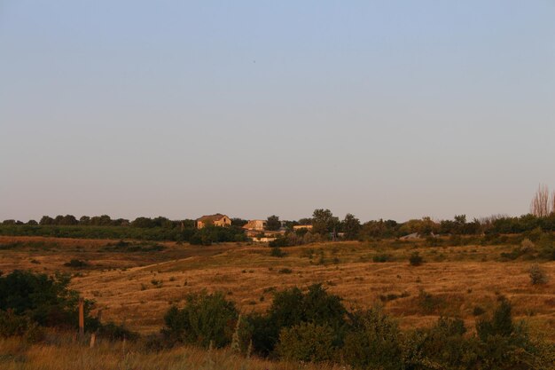 A field with trees and buildings