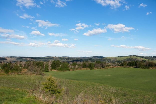 Photo a field with a view of a mountain and a field with trees and a blue sky with clouds