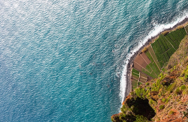 Fields on the southern coast of Madeira Island