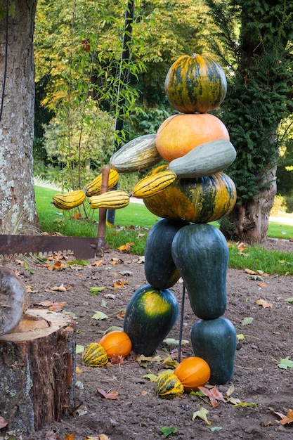 Figure made by assembled cucurbits