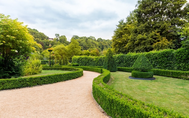 Figures in shape of swirl and cone from the bushes, summer park in Europe. Professional gardening, european green landscape, garden plants decoration