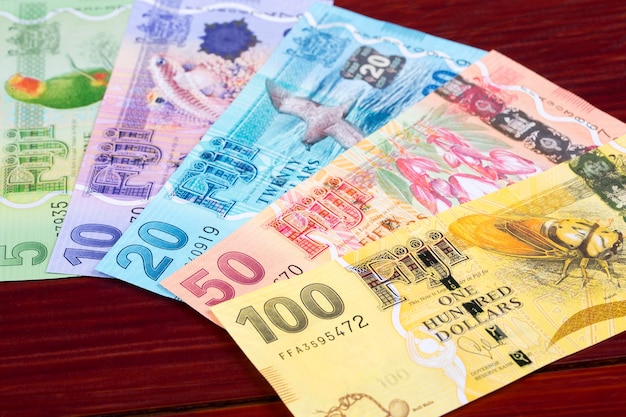 Fijian money a business background