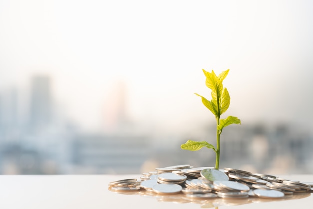 Financial Growth, Plant on pile coins with cityscape background 