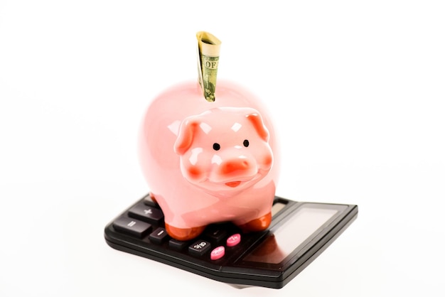 Financial wellbeing Piggy bank pink pig stuffed dollar banknote and calculator Money savings Economics and finance Savings deposit is convenient flexible way depositing savings Savings account