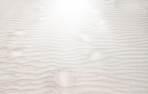 Fine beach sand in the summer sun pattern background Footprint