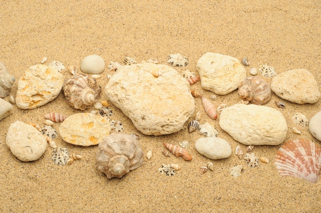 Fine beach sand with rocks and seashells under the summer sun