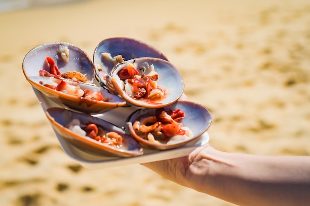 Fine shells from Malaga prepared by hand in the sea sand background