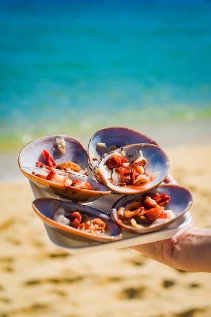 Fine shells from Malaga prepared by hand in the sea Vertical and Copy space