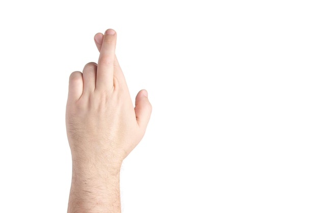 Fingers crossed isolated on white background Brutal man's palm showing fingers crossed gesture Finger gestures Copy space