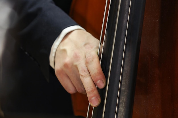 fingers of a double bass player close-up on the background of a double bass