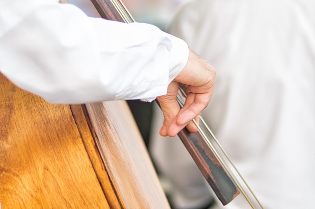 Fingers of double bass player