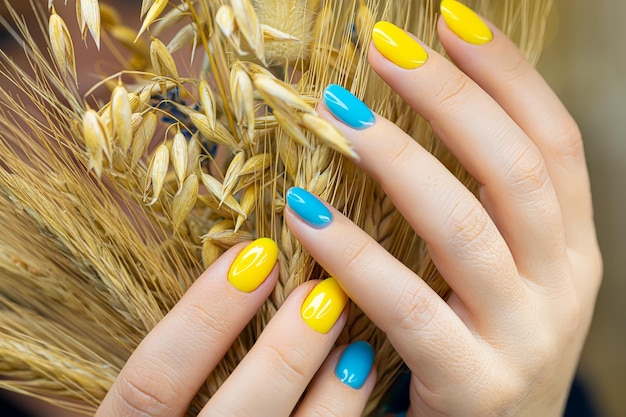 Fingers with applied blueyellow manicure hold spikelets nail gel polish in Ukrainian style